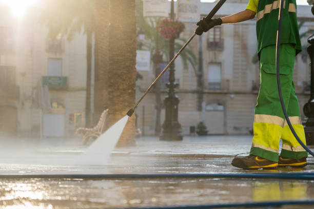 Best Gutter Cleaning  in Los Luceros, NM